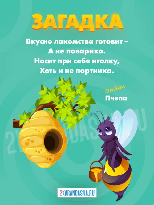Загадки Пчела