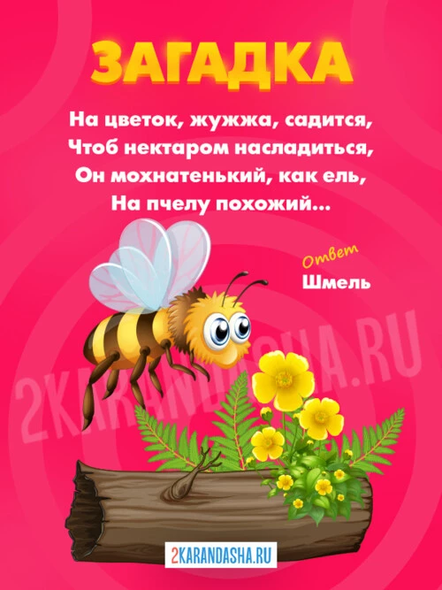 Загадки Шмель