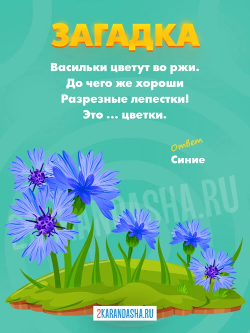 Загадки Синий