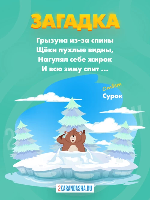 Загадки Сурок